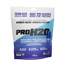 Pro H20 Drink Mix 72 Servings